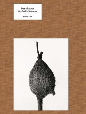 DES OISEAUX. NATHALIE BAETENS. ENG ED